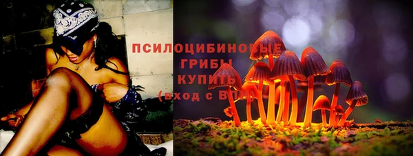 спиды Абаза